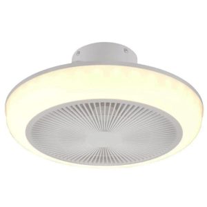 8000898118.jpg