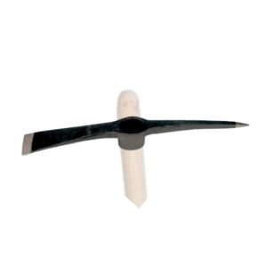 8000007727.jpg