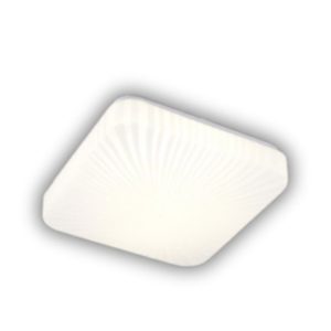 8000945719.jpg